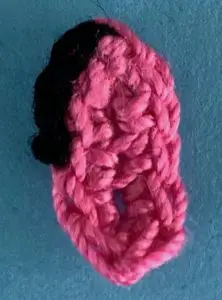 Crochet tri colored border collie 2 ply tongue with marking