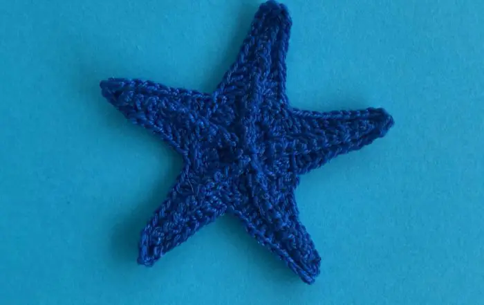 Finished crochet starfish 2 ply landscape