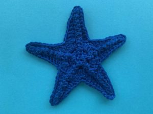 Finished crochet starfish tutorial 4 ply landscape