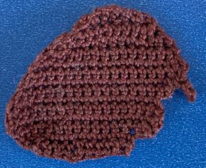 Crochet cowrie shell 2 ply shell top
