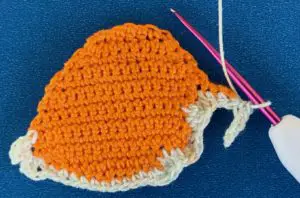 Crochet golden cowrie shell 2 ply bottom