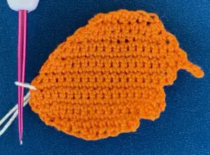 Crochet golden cowrie shell 2 ply joining for bottom