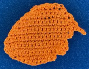 Crochet golden cowrie shell 2 ply top