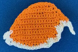 Crochet golden cowrie shell 2 ply top neatened