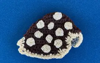 Finished crochet cowrie shell 2 ply landscape