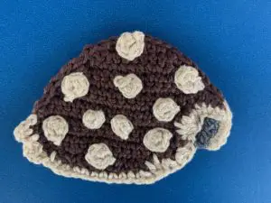 Finished crochet cowrie shell tutorial 4 ply landscape