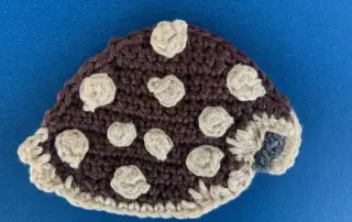 Finished crochet cowrie shell 4 ply landscape