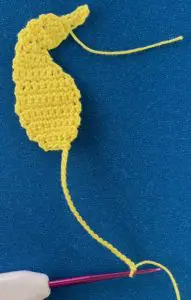 Crochet seahorse 2 ply chain for tail