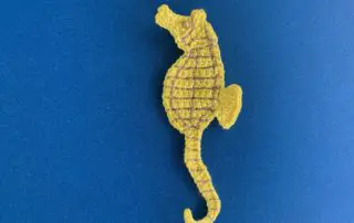 Finished crochet seahorse 4 ply landscape