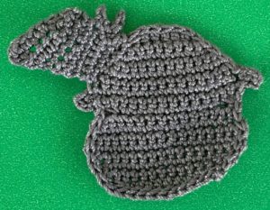 Crochet schnauzer 2 ply head with first ear