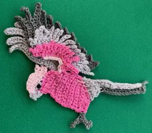 Crochet galah 2 ply body with back wing