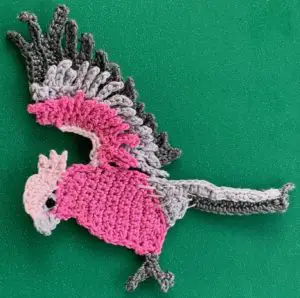 Crochet galah 2 ply body with front wings