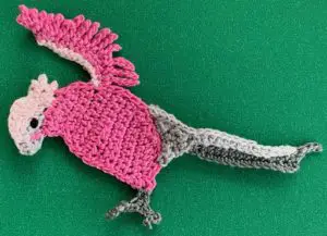Crochet galah 2 ply body with tail stitched