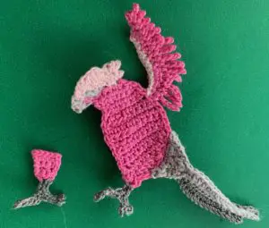 Crochet galah 2 ply claws