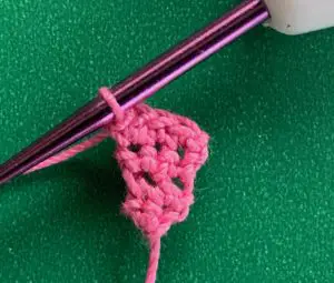 Crochet galah 2 ply leg
