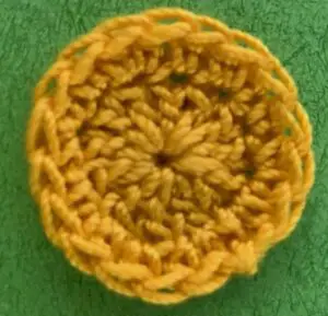 Crochet daisy 2 ply centre