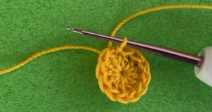 Crochet daisy 2 ply row 1