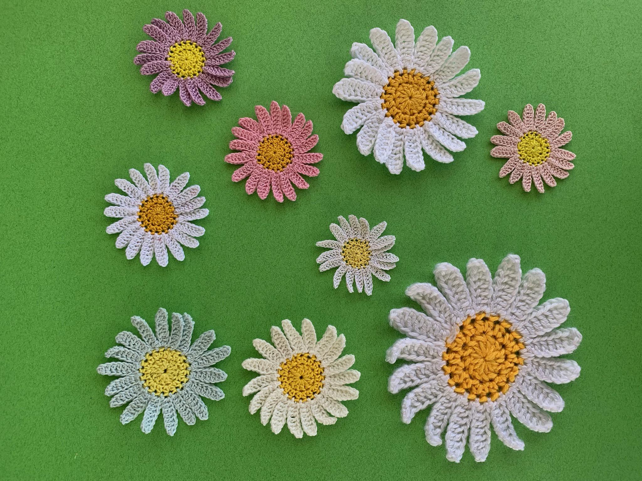 Finished crochet daisy 2 ply group landscape