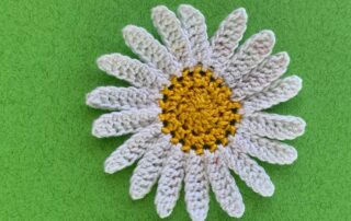 Finished crochet daisy 2 ply landscape