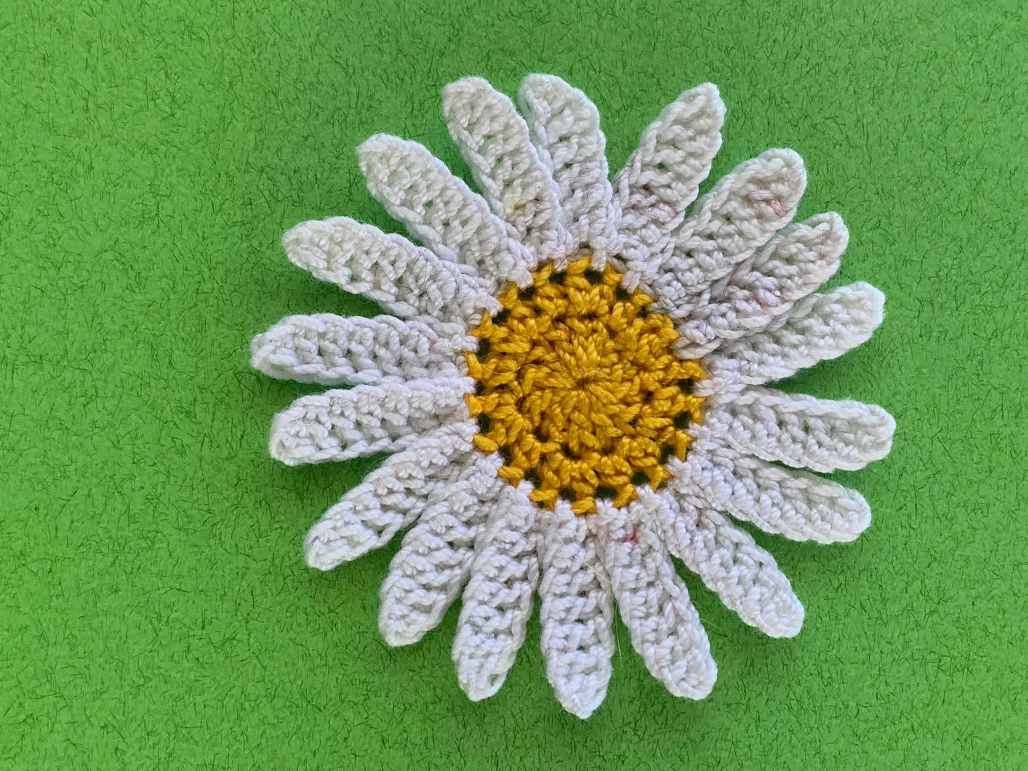 Finished crochet daisy 2 ply landscape