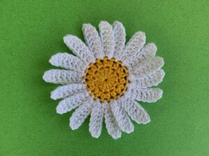 Finished crochet daisy tutorial 4 ply landscape