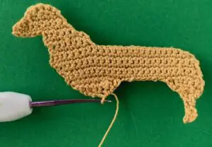 Crochet sausage dog 2 ply front section