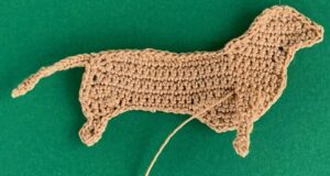 Crochet sausage dog 2 ply near front leg