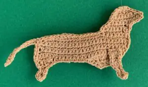 Crochet sausage dog 2 ply near front leg neatened