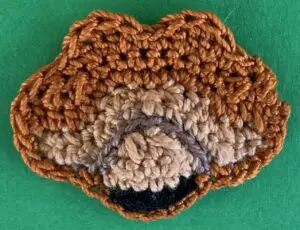 Crochet Pomeranian 2 ply top of head and front row 1