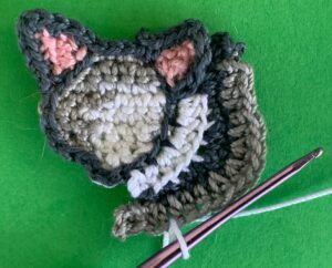 Crochet possum 2 ply joining for first white area