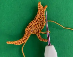 Crochet reverse kangaroo 2 ply after foot