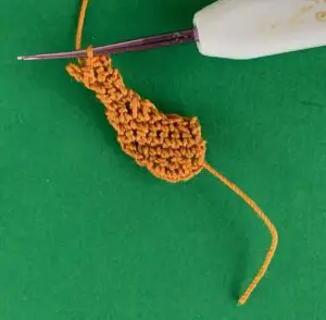 Crochet reverse kangaroo 2 ply body and head