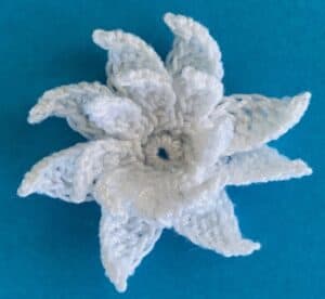 Crochet water lily 2 ply flower