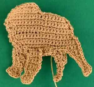 Crochet golden retriever 2 ply far back leg