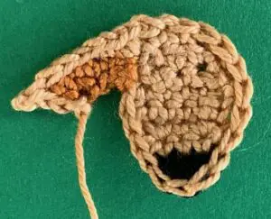 Crochet golden retriever 2 ply first ear