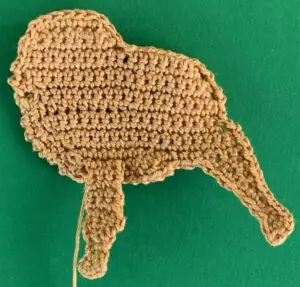 Crochet golden retriever 2 ply near front leg