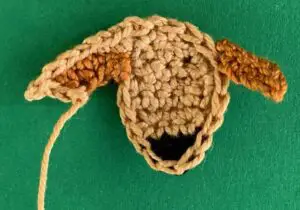 Crochet golden retriever 2 ply second inner ear