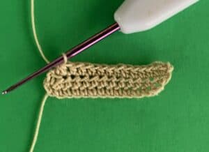 Crochet cricket pitch 2 ply row 5