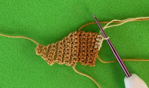 Crochet lizard 2 ply row 15
