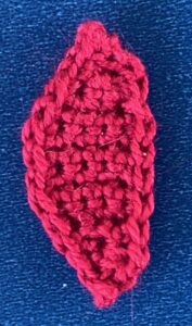 Crochet cardinal 2 ply wing neatened