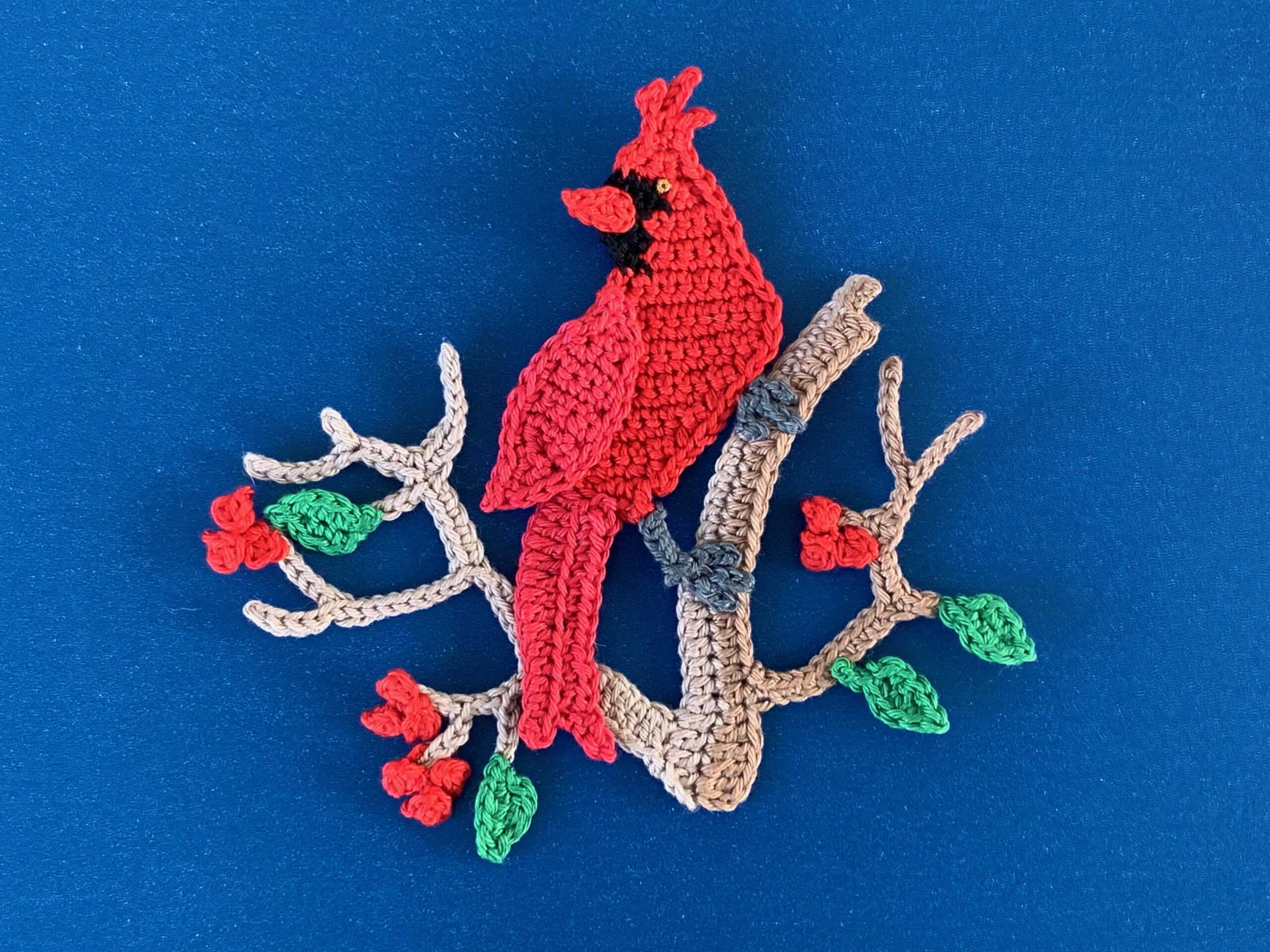 Finished crochet cardinal 4 ply landscape