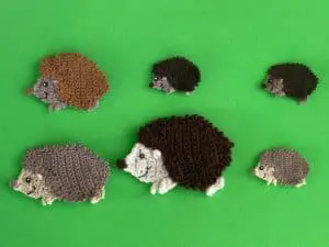 Finished crochet hedgehog 2 ply group landscape