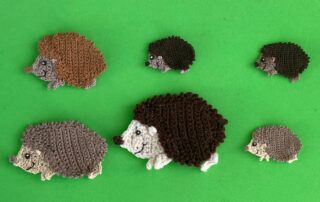 Finished crochet hedgehog 2 ply group landscape