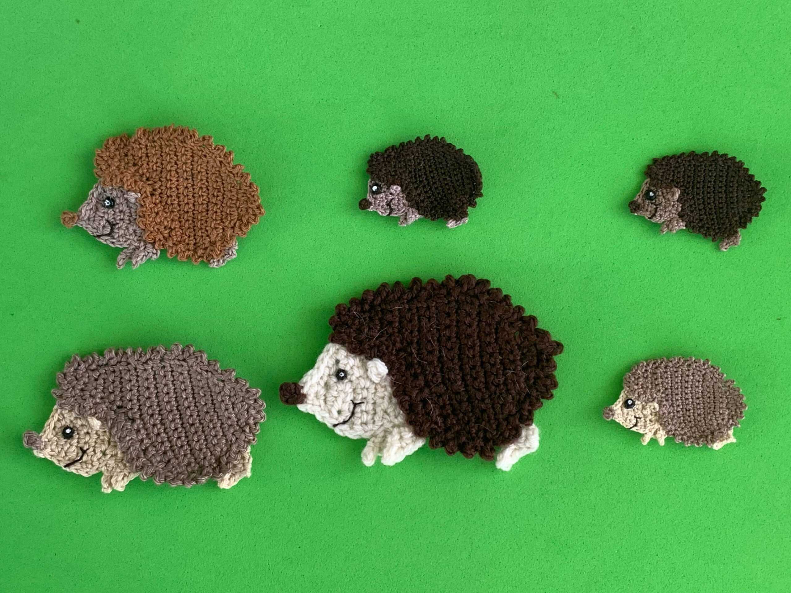 Finished crochet hedgehog 2 ply group landscape