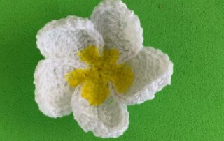 Finished crochet frangipani 4 ply landscape