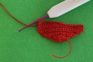 Crochet toadstool 2 ply large cap