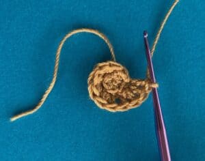 Crochet snail 2 ply shell row 2